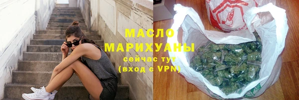 гидра Вяземский