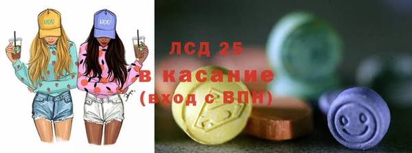 гидра Вяземский