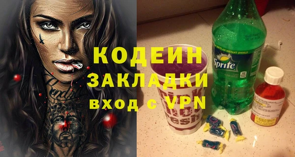 гидра Вяземский