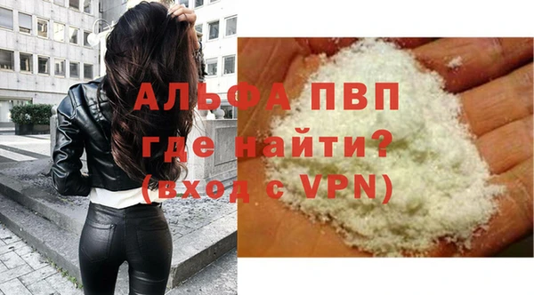 гидра Вяземский