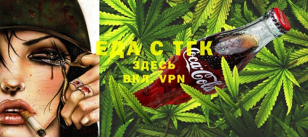 гидра Вяземский
