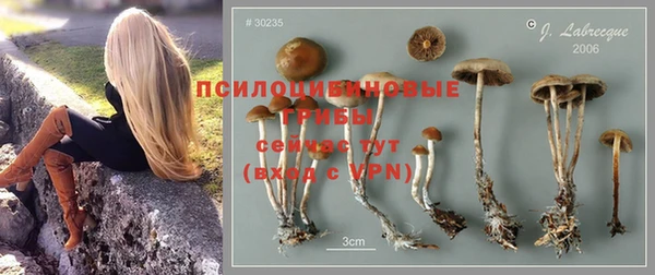 гидра Вяземский