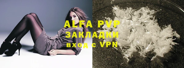 гидра Вяземский