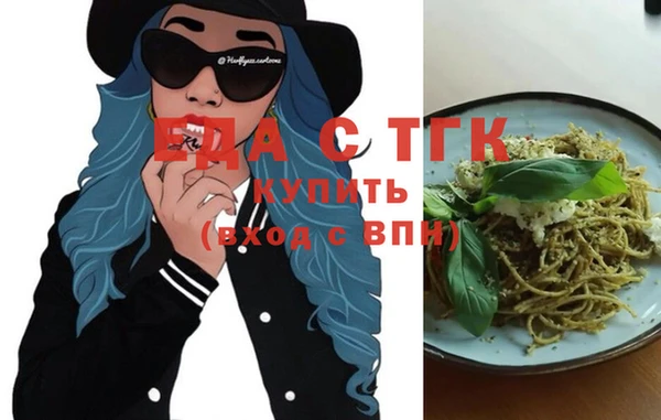 гидра Вяземский