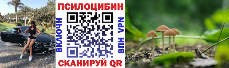 Псилоцибиновые грибы GOLDEN TEACHER  Купить где  Донецк 